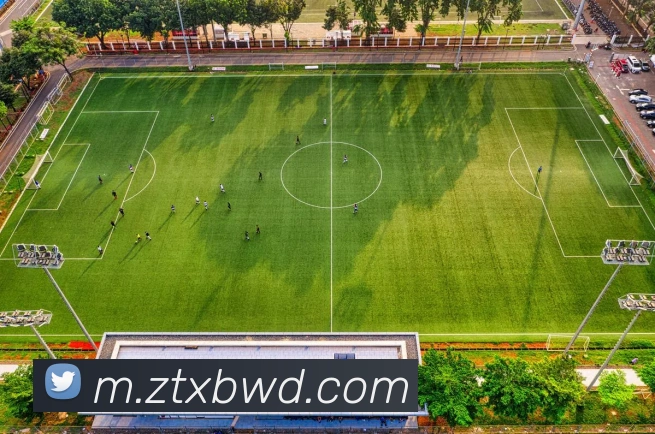 问鼎28APP 封面图